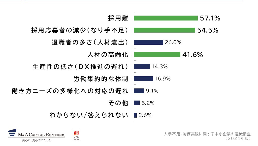 あなたの会社は、なぜ人手不足に陥っていると考えていますか。への回答のグラフイメージ