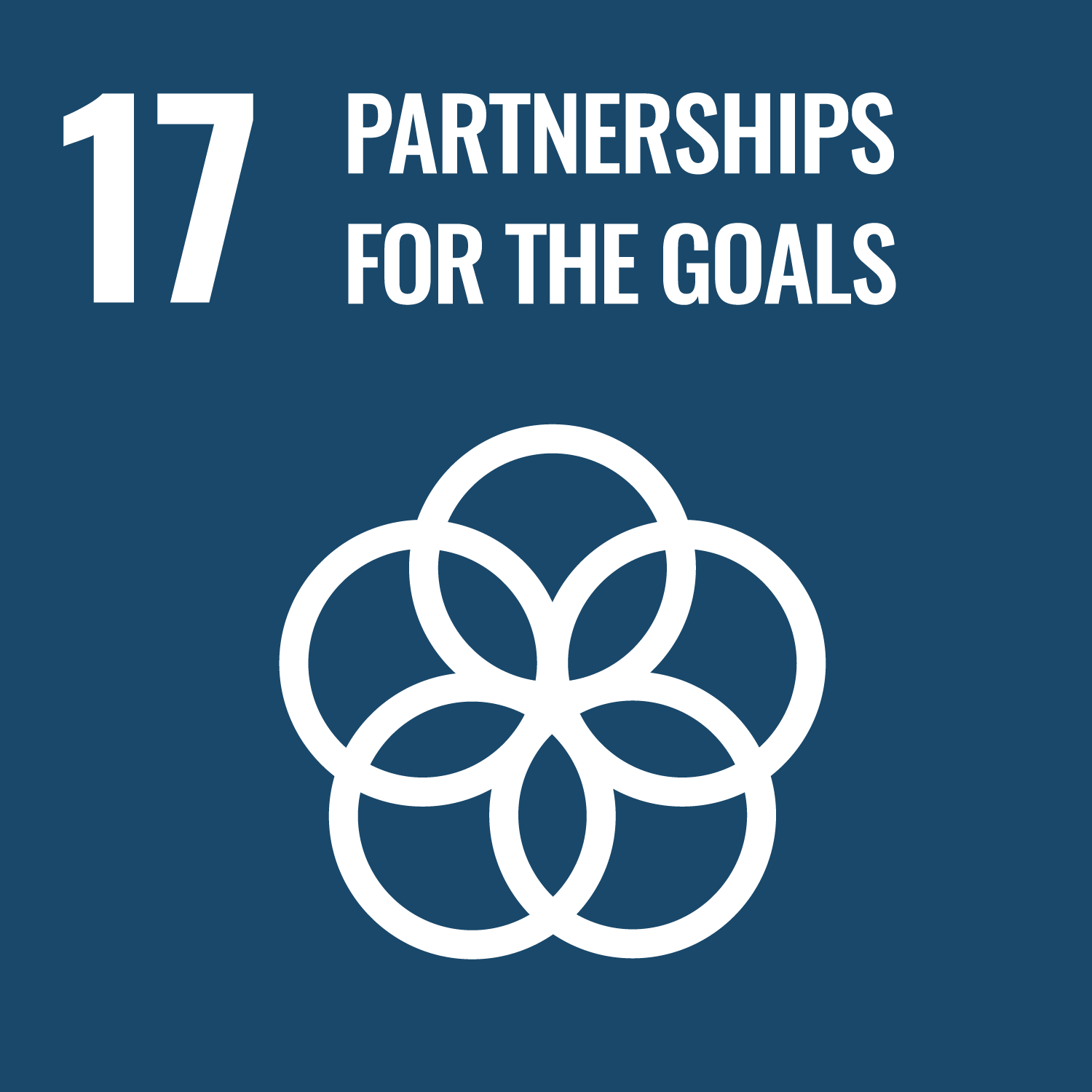 SDGs goals No.17