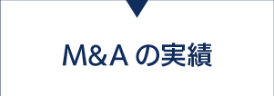 M&Aの実績