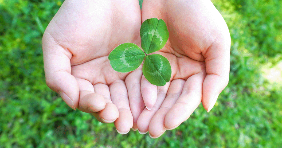 日本エンタープライズ<4829>、ＳＭＥ株式会社を子会社化しリユース事業に本格参入