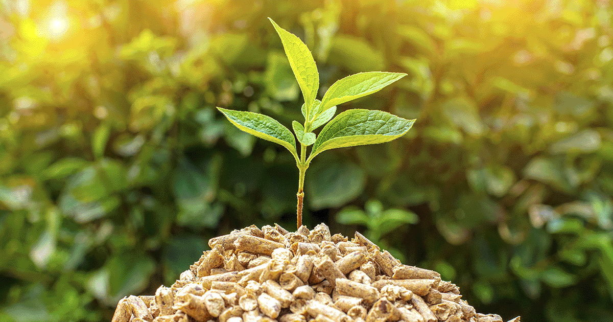 日比谷花壇とマイファーム、資本業務提携を締結