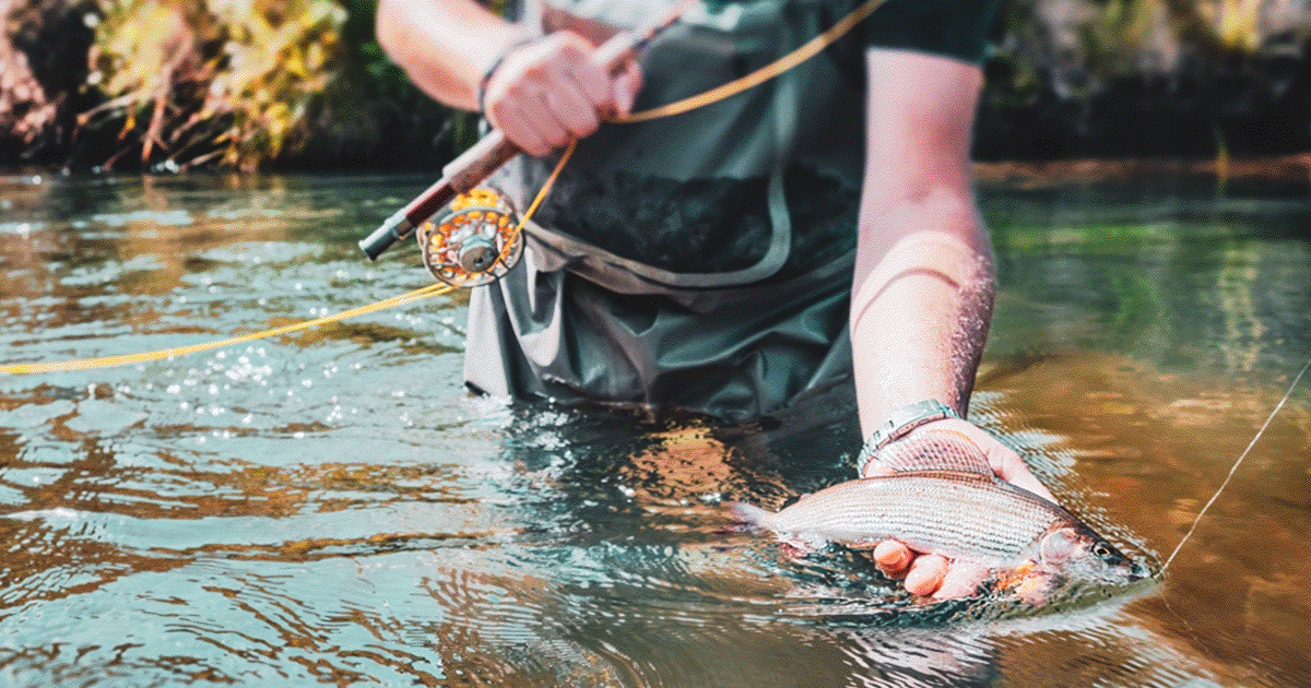 株式会社サイバーエージェント、株式会社釣りビジョンを株式譲渡により譲受し事業ポートフォリオの見直しと資本効率の改善を図る