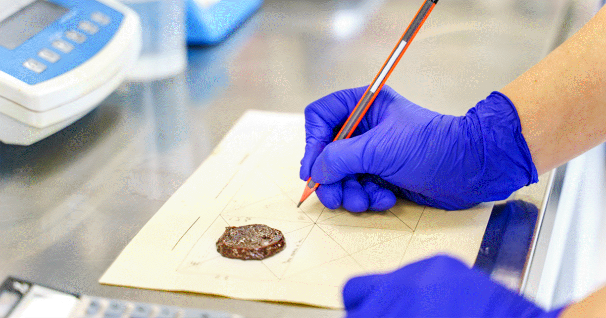 ベースフード、メルコグループと資本業務提携し競争力を最大化