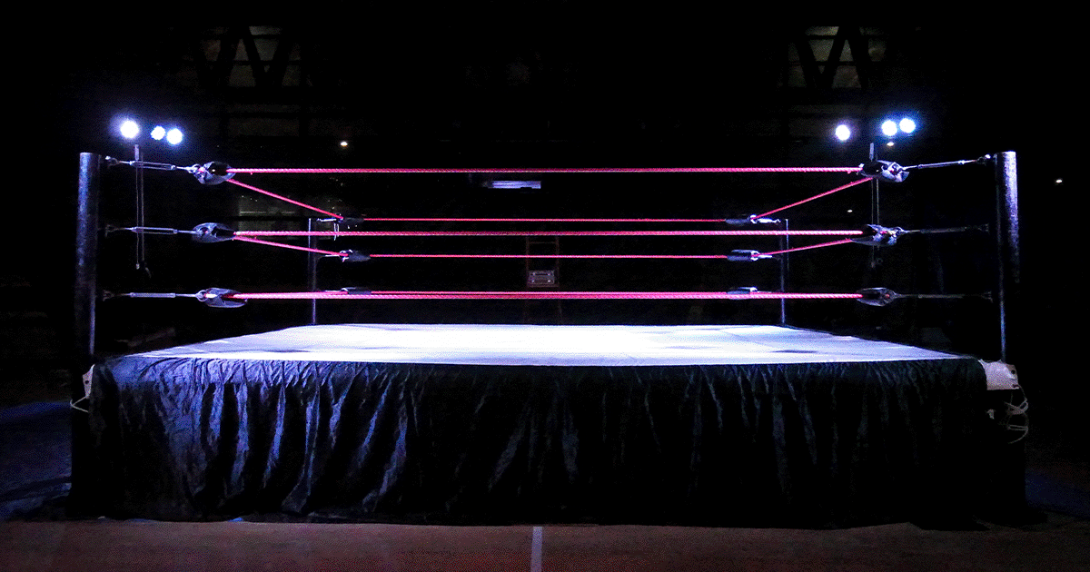 ブシロード、新日本プロレスをテレビ朝日らへ譲渡