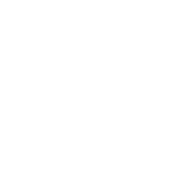 平均年齢 31.4歳